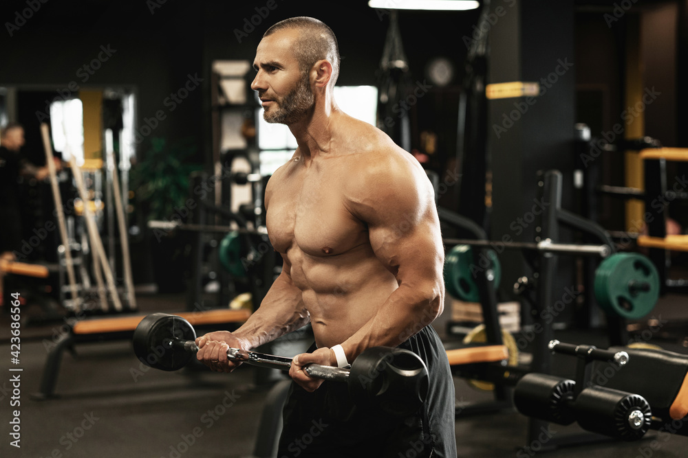 Muscular bodybuilder doing biceps curls with a barbell in the gym Muscular bodybuilder doing biceps curls with a barbell in the gym