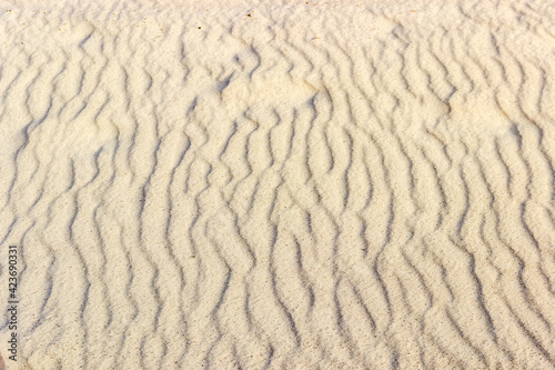 Surface of gray-yellow sand formed by the wind, background