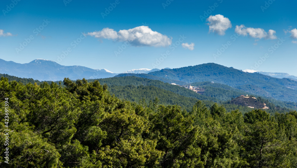 Hills with forest and mountain range on horizon.