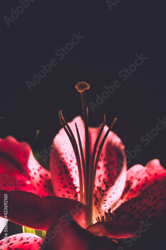 Photography is emptying the image rather than filling it.
By emptying the world visible in the square frame, the photo will be complete.