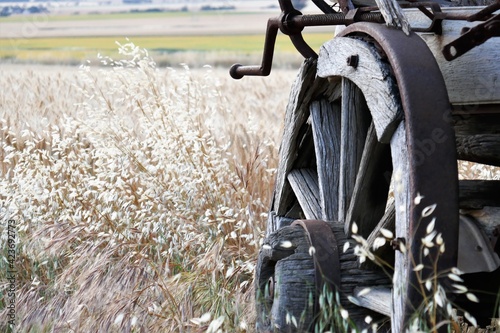 Old Wagon Whee;