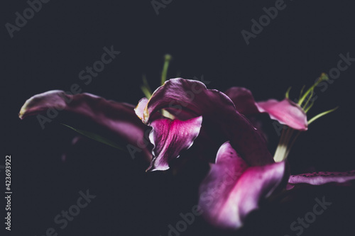 Photography is emptying the image rather than filling it.
By emptying the world visible in the square frame, the photo will be complete.