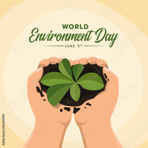 World Environment Day - top view hands hold and preserve a young plant vector design