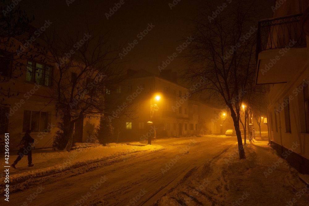 The city lights in a winter town. Foggy and snowy weather. Trees with white frost