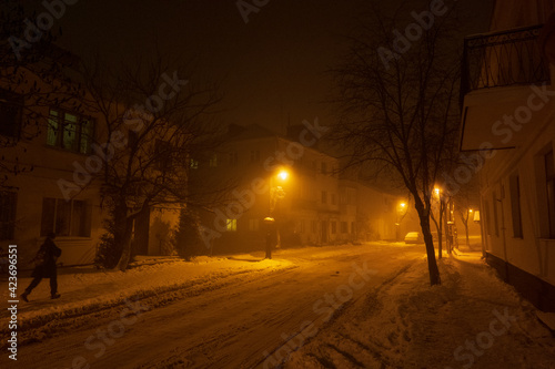 The city lights in a winter town. Foggy and snowy weather. Trees with white frost