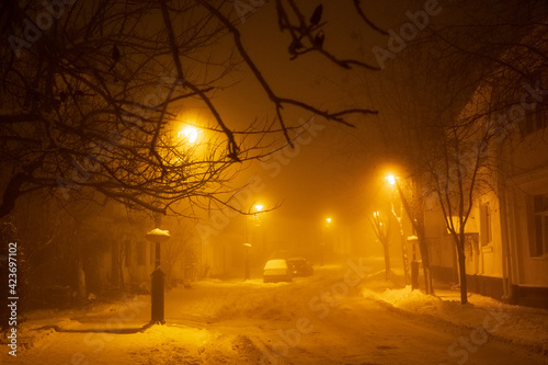 The city lights in a winter town. Foggy and snowy weather. Trees with white frost © SERG
