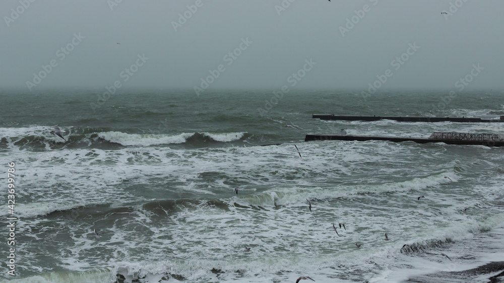 waves of the ocean
