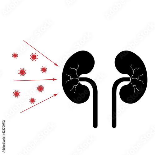 Coronavirus, Covid-19 attack kidneys. Simple flat illustration