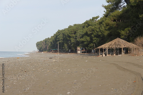 Beautiful view on the beach in the area of Pitsunda