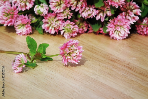 Clover flowers on wooden table