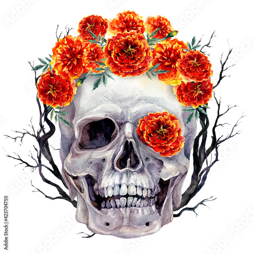 Watercolor Skull and Flowers Halloween Illustration