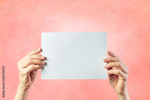 Mockup of female hands holding a colored cardboard on pink background