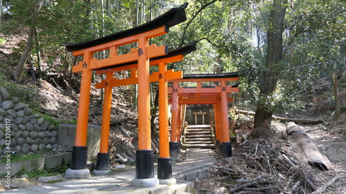 kyoto temple shrine japan
