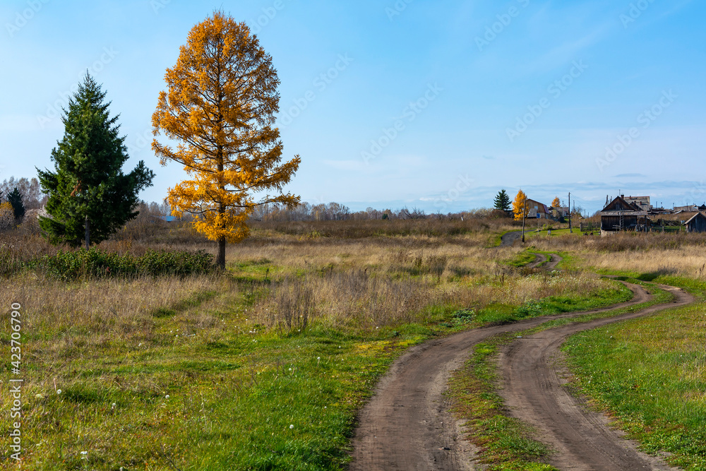 Country road at the entrance to the village of Aryshevo on a sunny autumn day Country road at the entrance to the village of Aryshevo on a sunny autumn day