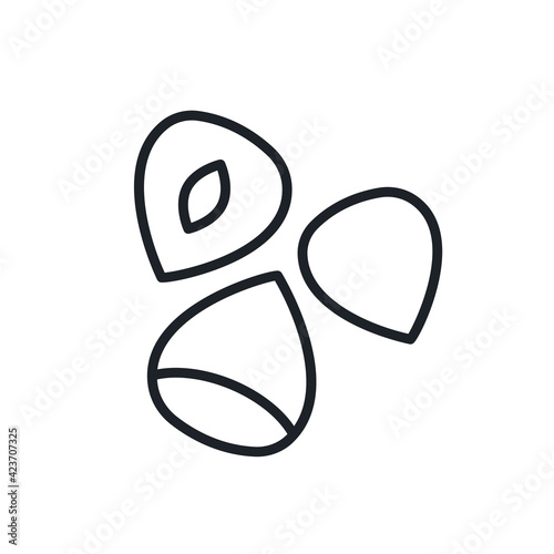 Hazelnut icon. Vector linear icon of nuts, contour, shape, outline isolated on a white background. Thin line. Modern design. Healthy food and vitamins