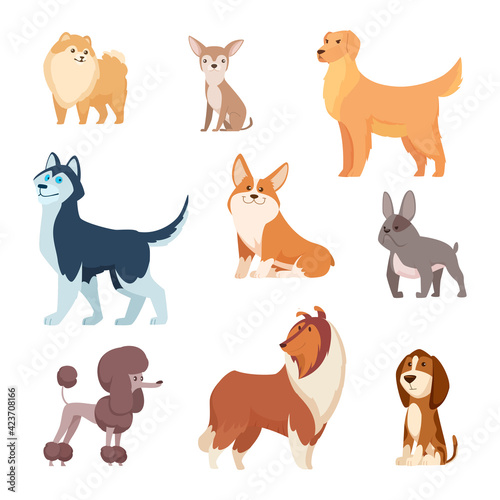 Fototapeta Naklejka Na Ścianę i Meble -  Dogs breeds. Funny true and faithful animals playing in various poses cartoon puffy puppy poodle bulldog dachshund exact vector illustrations collection
