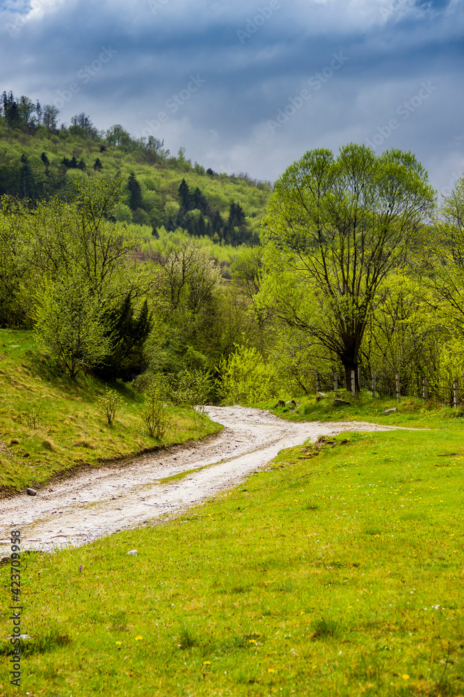 a rural road in the carpathian mountains, national park Skolivski beskidy, Lviv region of Western Ukraine