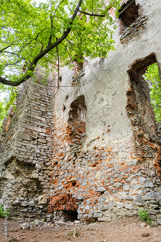 Pajstun castle ruins, Slovakia photo