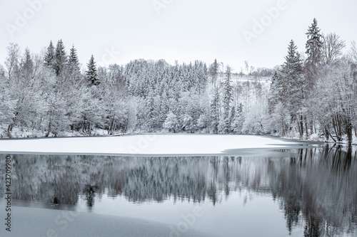 Elbingstalteich im Selketal Harz Winter