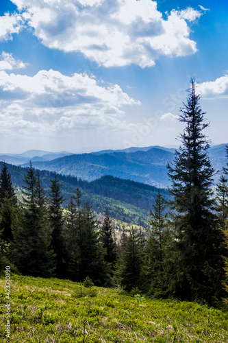 Carpathian landscape of the mountains and forest, national park Skolivski beskidy, Lviv region of Western Ukraine