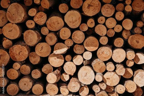 Wood logs storage. Wood background.