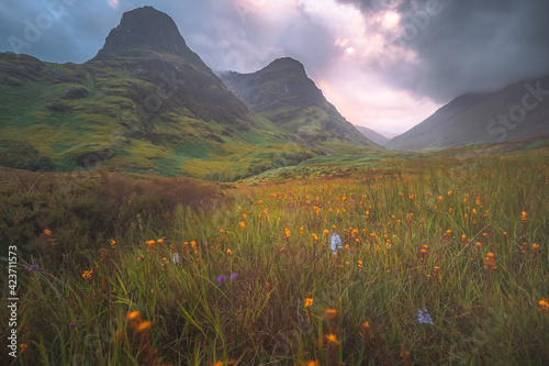 Fototapeta Naklejka Na Ścianę i Meble -  Moody, atmospheric mountain landscape of the lush, green Three Sisters of Glencoe during a summer sunset or sunrise in the Scottish Highlands, Scotland.