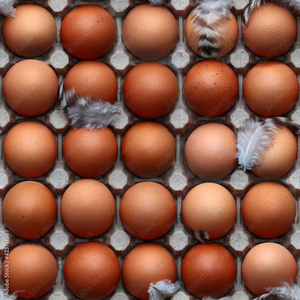 Seamless pattern from a package of chicken eggs in a cardboard box from above. Minsk. Belarus. Seamless pattern from a package of chicken eggs in a cardboard box from above. Minsk. Belarus.