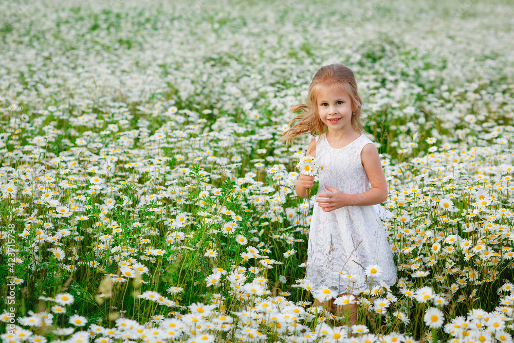 Portrait of a beautiful little girl with blonde hair and blue eyes in a white summer dress on a field. A child in a flowery meadow. Copy space. Portrait of a beautiful little girl with blonde hair and blue eyes in a white summer dress on a field. A child in a flowery meadow. Copy space.