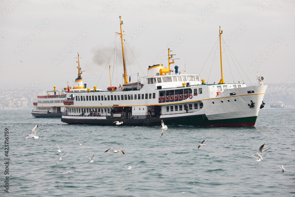 white modern boat and seagulls flying in a see bay near Istanbul