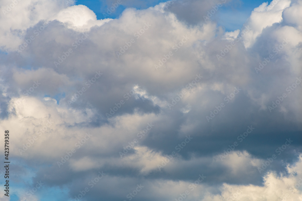 Fototapeta premium The wind drives the rain clouds. Sky and clouds patterns background.