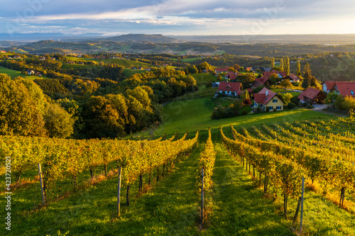 Highest vineyards in Austria near the village Kitzeck im Sausal  Styria  Austria