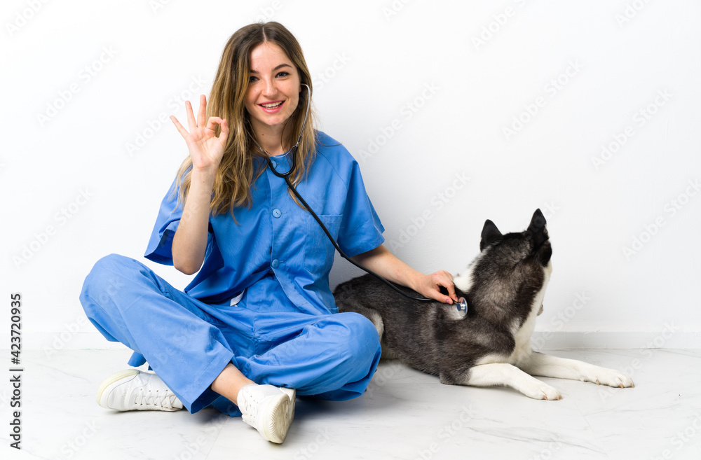 Veterinary doctor at vet clinic with Siberian Husky dog Veterinary doctor at vet clinic with Siberian Husky dog