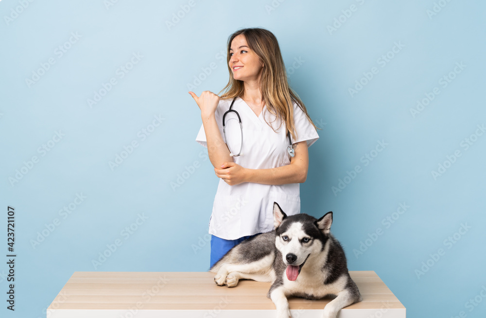 Veterinary doctor at vet clinic with Siberian Husky dog over isolated blue background pointing to the side to present a product