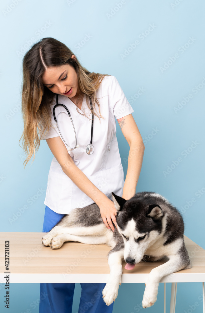 Veterinary doctor at vet clinic with Siberian Husky dog Veterinary doctor at vet clinic with Siberian Husky dog