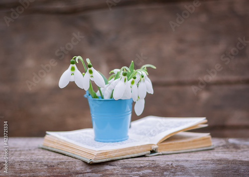 a metal vase with snowdrops stands on an open old book on an old wooden table