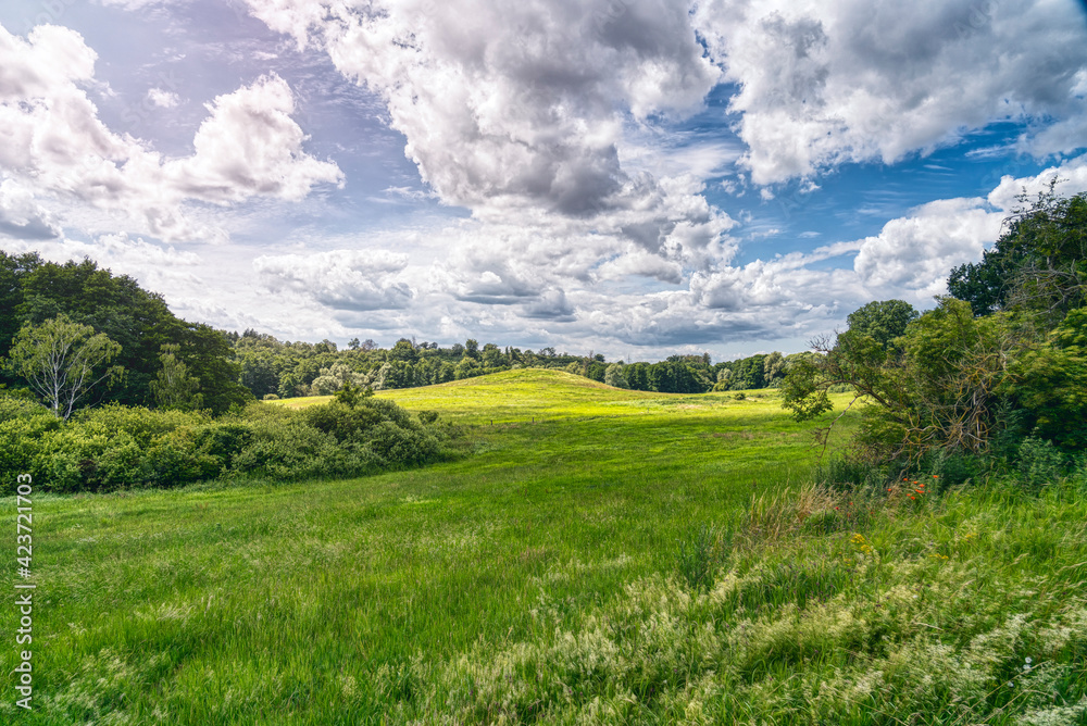 beautiful meadow landscape with forest and dramatic sky from mecklenburg-western pomerania, germany beautiful meadow landscape with forest and dramatic sky from mecklenburg-western pomerania, germany
