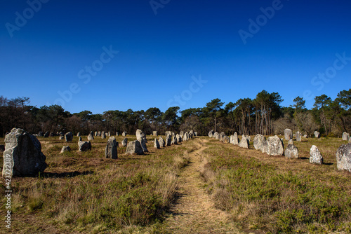 Kerlescan menhir alignment near Carnac