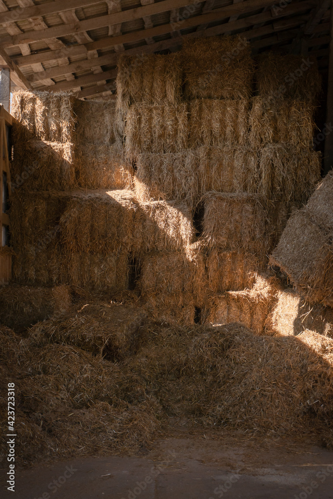 haystacks in a barn. close-up. golden. Spring