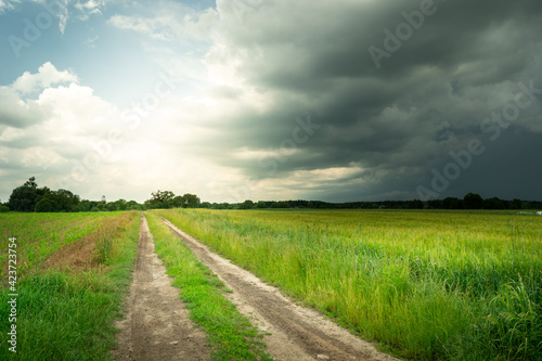 Rural road in a green field  sky glow and stormy cloud