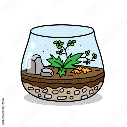 Terrarium glass enclosure, a hand drawn doodle of Terrarium enclosure in bowl shape filled with a variety of plants, isolated on a white background.