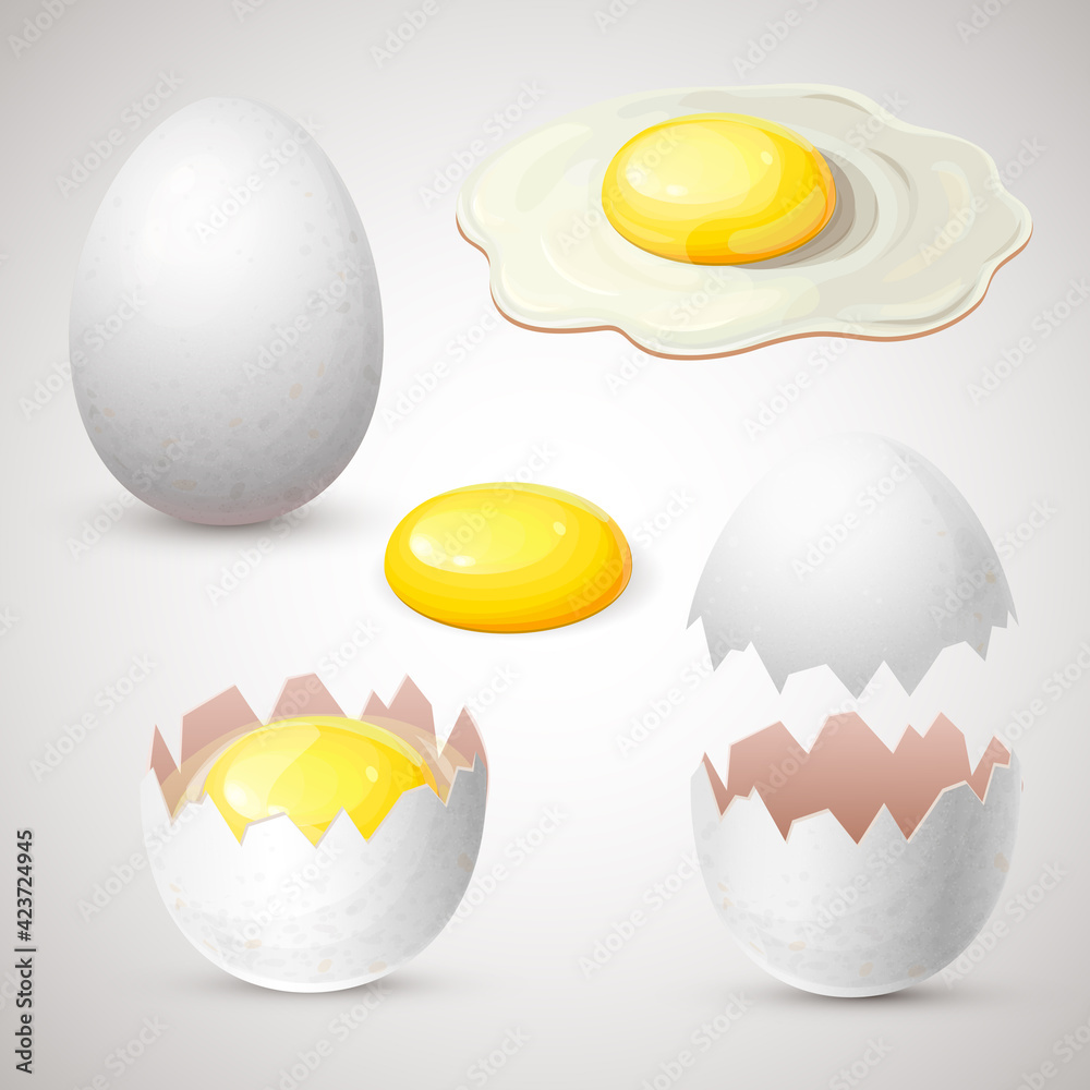 set of white chicken eggs in different forms isolated on white, fresh eggs collection. Fried and raw eggs, omelet and broken eggshell with whole yolk for breakfast. vector realistic illustration. set of white chicken eggs in different forms isolated on white, fresh eggs collection. Fried and raw eggs, omelet and broken eggshell with whole yolk for breakfast. vector realistic illustration.