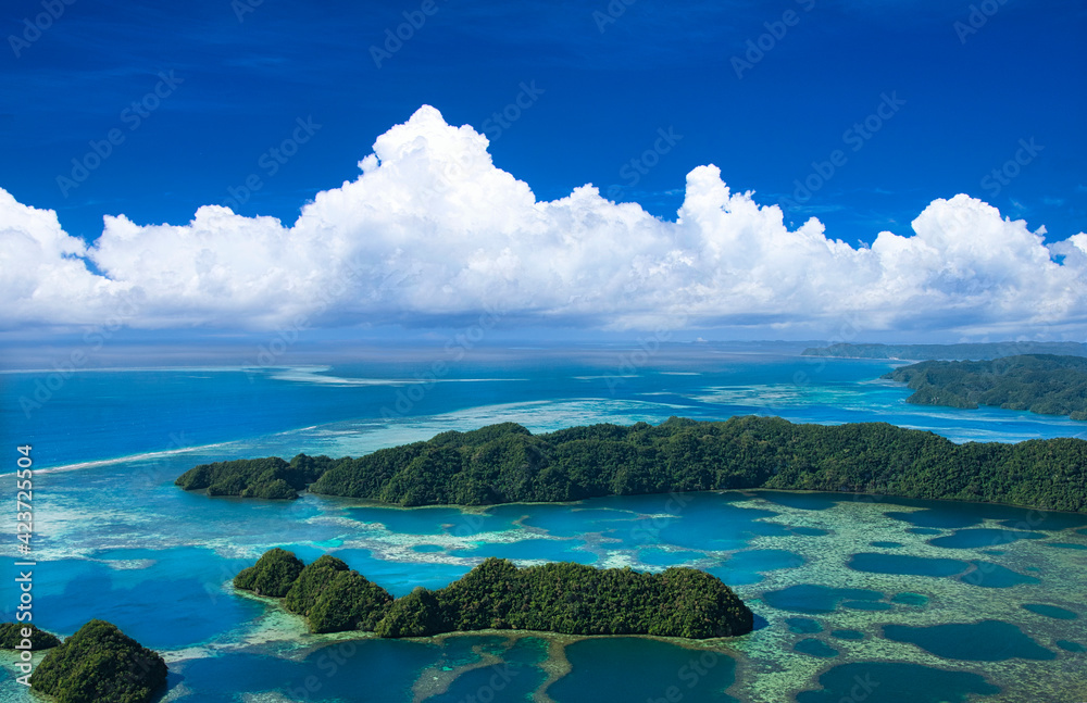 パラオの美しいサンゴ礁の海 パラオの美しいサンゴ礁の海
