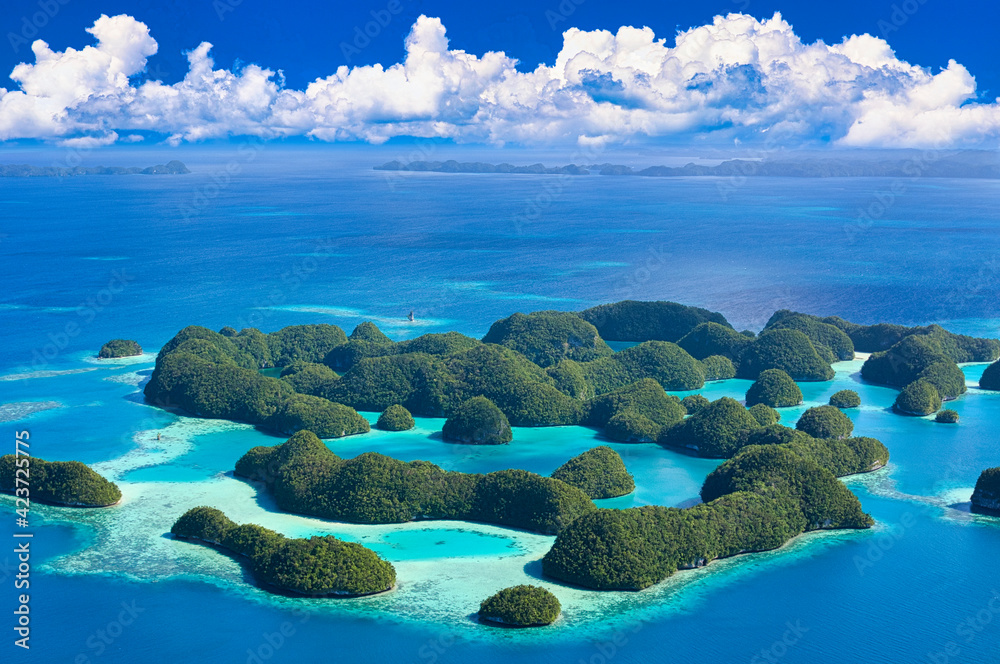 パラオの美しいサンゴ礁の海 Stock Photo | Adobe Stock
