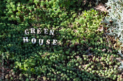 Eco house - inscription from wooden letters on natural background of green grass in forest. Sale and rental of ecological real estate. Green eco friendly home, Zero waste concept