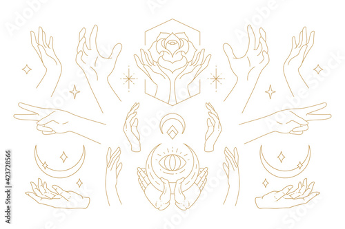Female hands gestures collection of line art hand drawn style vector illustrations