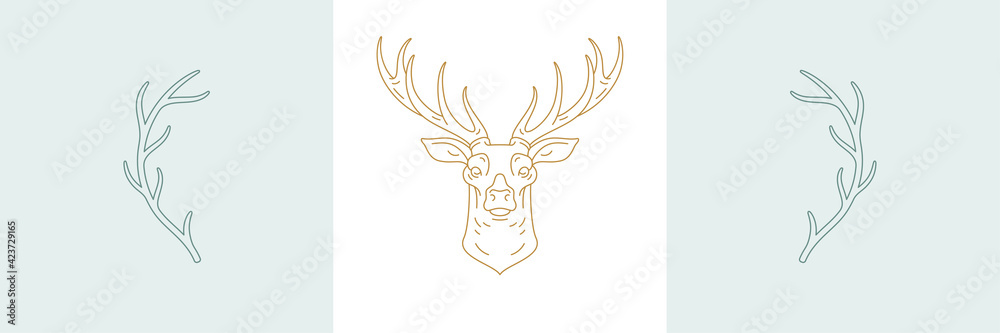 Antlers and head of wild deer in boho linear style vector illustrations set.