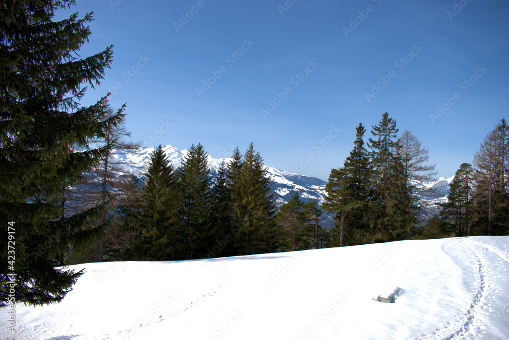 Winter scenery in the alps in Liechtenstein 19.2.2021 Winter scenery in the alps in Liechtenstein 19.2.2021