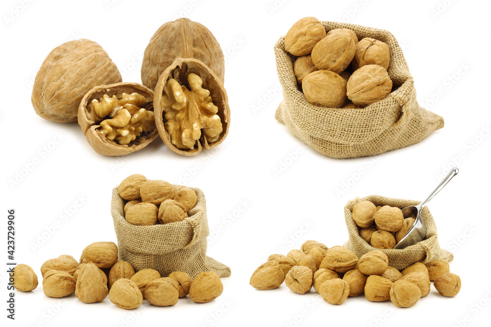 Walnuts and some in a burlap bag on a white background Walnuts and some in a burlap bag on a white background