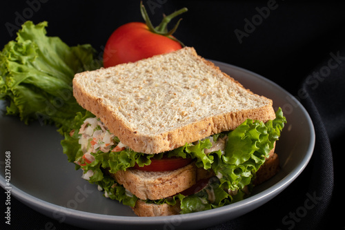Sandwich with lettuce and tomatoes in a plate on a dark background