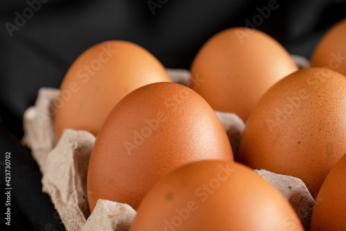 Chicken eggs in panel on black background